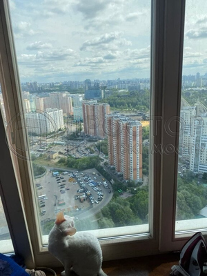 Продам трехкомнатную (3-комн.) квартиру, Авангардная ул, 10, Красногорск г
