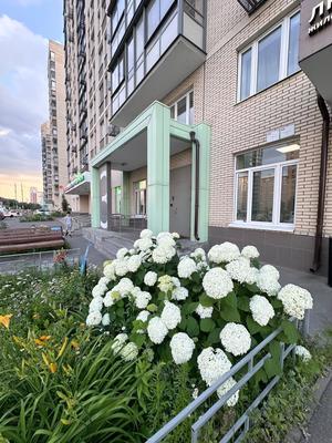 Продам двухкомнатную (2-комн.) квартиру, Сакко и Ванцетти ул, 5к1, Малаховка рп
