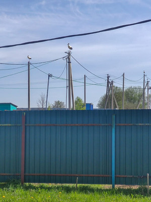 Продам дом, Ваулино д, 0 км от города