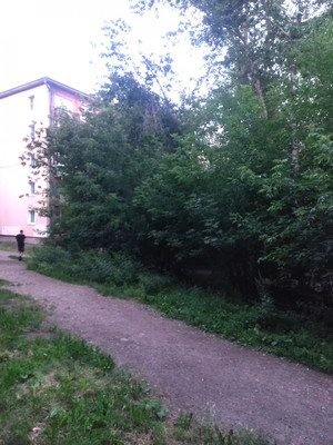 Продам однокомнатную (1-комн.) квартиру, Пограничный пер, 1-г, Иркутск г
