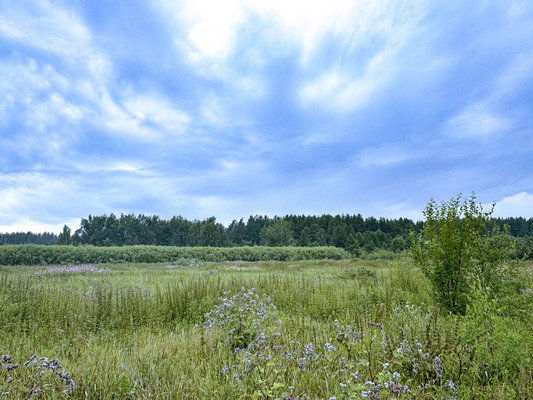 Продам участок 264 соток, ИЖС, Удачная ул, Екатеринбург г, 20 км от города