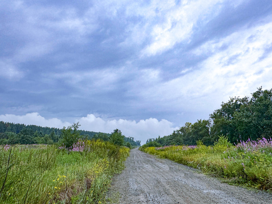 Продам участок 264 соток, ИЖС, Удачная ул, Екатеринбург г, 20 км от города