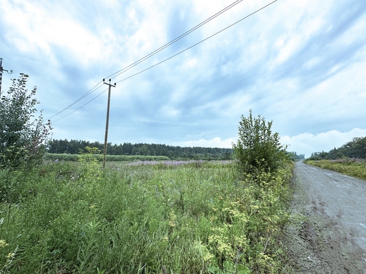 Продам участок 264 соток, ИЖС, Удачная ул, Екатеринбург г, 20 км от города