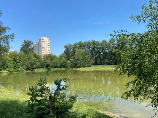 Продам трехкомнатную (3-комн.) квартиру, 23-й км Рязанского (Птицефабрика мкр.) ш, 28, Томилино рп