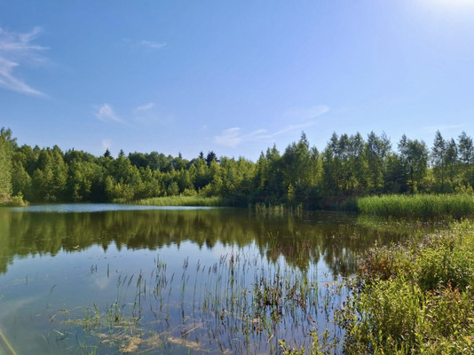 Продам участок 9 соток, Садоводство, Дружноселье п, 0 км от города