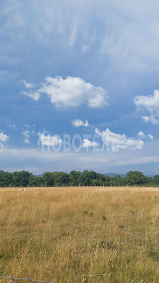 Продам участок 5 соток, ИЖС, им. Алексея Губарева ул, 9, Хадыженск г, 0 км от города