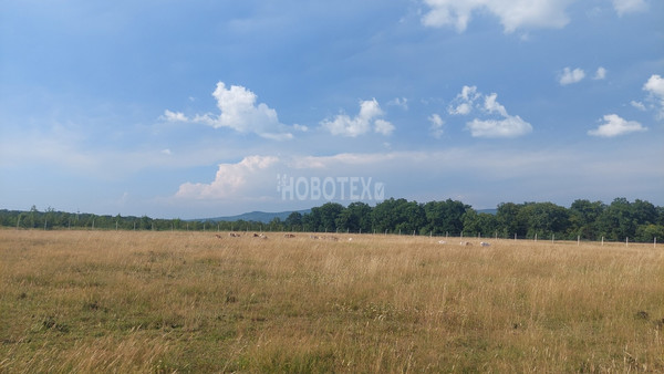 Продам участок 5 соток, ИЖС, им. Алексея Губарева ул, 9, Хадыженск г, 0 км от города