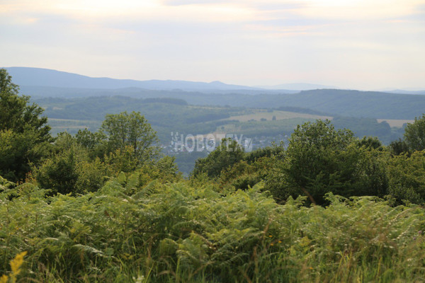 Продам участок 5 соток, ИЖС, им. Алексея Губарева ул, 9, Хадыженск г, 0 км от города