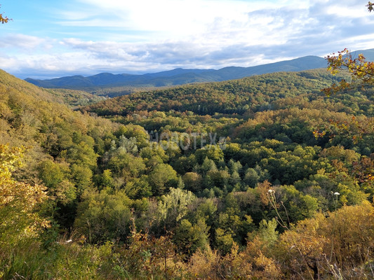 Продам участок 5 соток, ИЖС, им. Алексея Губарева ул, 9, Хадыженск г, 0 км от города