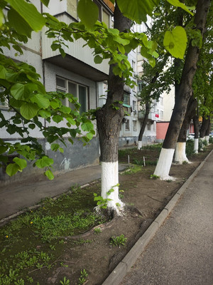 Продам однокомнатную (1-комн.) квартиру, Космонавтов пр-кт, 36/2, Ростов-на-Дону г