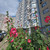 Продам двухкомнатную (2-комн.) квартиру, 3-я Мытищинская ул, 3к2, Москва г