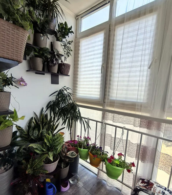 Продам однокомнатную (1-комн.) квартиру, Мирная ул, 29к10, Анапа г