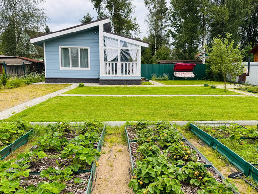 Продам дачу, Новая (Колпинец тер. СНТ) ул, Грибное массив, 0 км от города