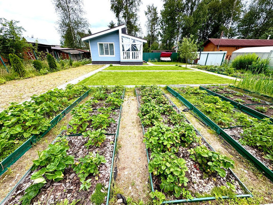 Продам дачу, Новая (Колпинец тер. СНТ) ул, Грибное массив, 0 км от города