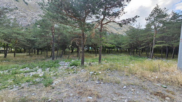 Продам участок 30 соток, ИЖС, Эльбрусский пр-кт, 105, Тырныауз г, 0 км от города