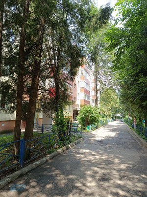 Продам однокомнатную (1-комн.) квартиру, 6, санатория &amp;quot;Родина&amp;quot; п