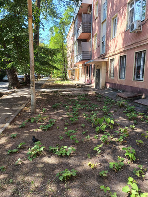 Продам двухкомнатную (2-комн.) квартиру, Воровского ул, 27, Ростов-на-Дону г
