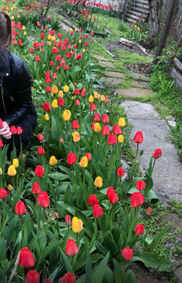 Продам дом, Горького ул, 32, Кропоткин г, 0 км от города