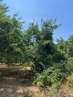 Продам дом, Горького ул, 32, Кропоткин г, 0 км от города