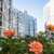 Продам однокомнатную (1-комн.) квартиру, Мирная ул, 29к10, Анапа г