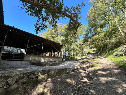 Продам участок 110 соток, ИЖС, Гостиная ул, Лучистое с, 0 км от города