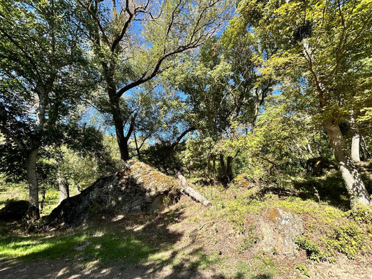 Продам участок 110 соток, ИЖС, Гостиная ул, Лучистое с, 0 км от города