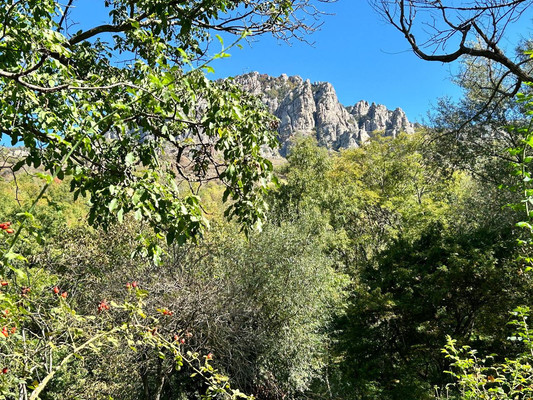 Продам участок 110 соток, ИЖС, Гостиная ул, Лучистое с, 0 км от города