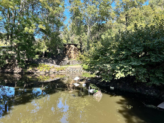 Продам участок 110 соток, ИЖС, Гостиная ул, Лучистое с, 0 км от города