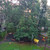 Продам трехкомнатную (3-комн.) квартиру, Бочкова ул, 8, Москва г