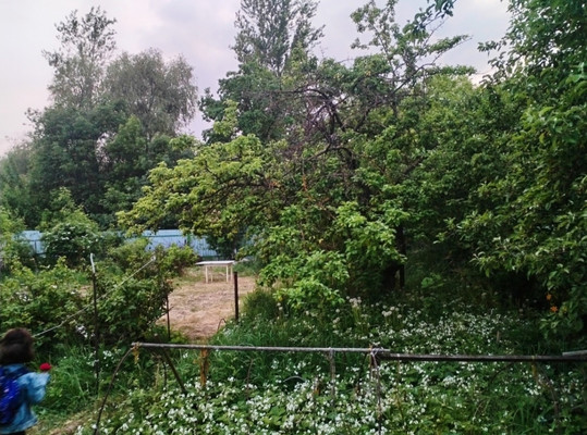 Продам дачу, Балашихинское ш, Балашиха г, 0 км от города