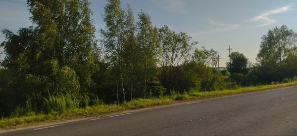 Продам землю для коммерческого использования 27,4 соток, Фермерское хоз., Бабенки д