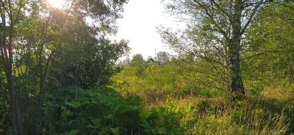 Продам землю для коммерческого использования 27,4 соток, Фермерское хоз., Бабенки д