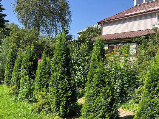 Продам дом, Новые сады ул, Грибки д, 0 км от города