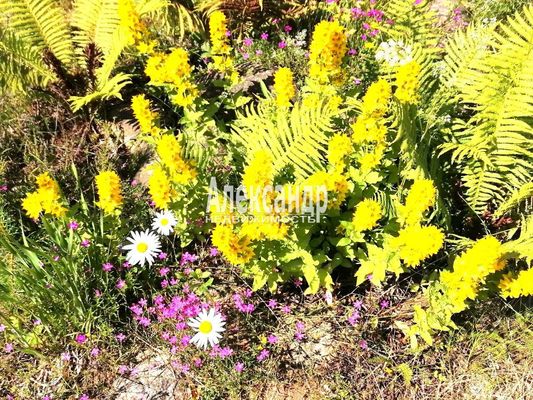 Продам дачу, Мик снт, 60 км от города