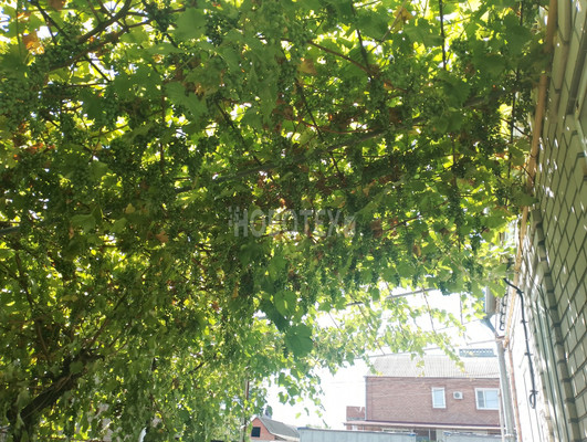 Продам дом, Звездная ул, 17, Каневская ст-ца, 0 км от города