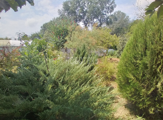 Продам дачу, СНТ Мелиоратор тер, 29, Ильский пгт, 0 км от города