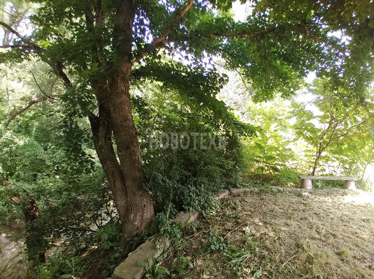 Продам дачу, СНТ Мелиоратор тер, 29, Ильский пгт, 0 км от города