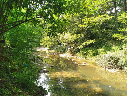 Продам дачу, СНТ Мелиоратор тер, 29, Ильский пгт, 0 км от города