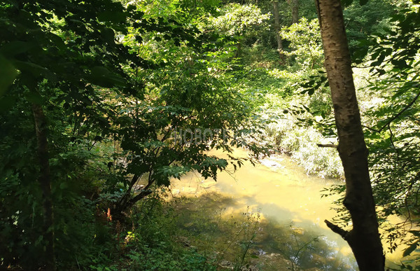 Продам дачу, СНТ Мелиоратор тер, 29, Ильский пгт, 0 км от города