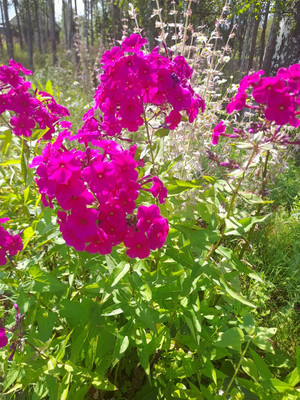 Продам дом, Майская ул, 78, Черусти рп, 0 км от города