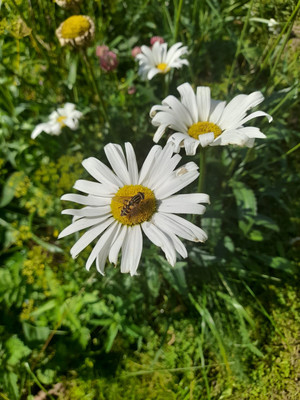 Продам дом, Майская ул, 78, Черусти рп, 0 км от города