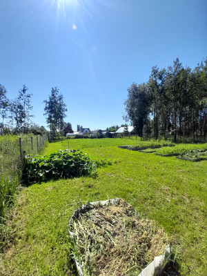 Продам дом, Майская ул, 78, Черусти рп, 0 км от города