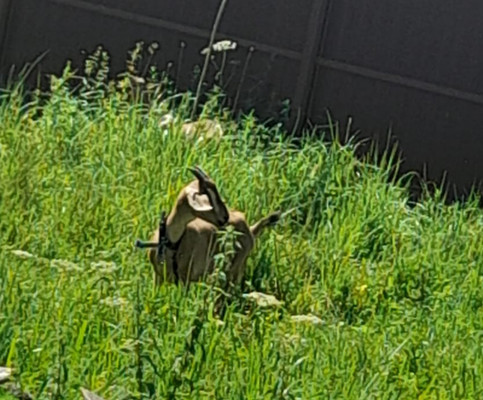 Продам дом, Майская ул, 78, Черусти рп, 0 км от города