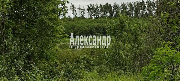 Продам дом, Яркая ул, 14, Яровое п, 150 км от города