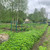 Продам участок 10 соток, Фермерское хоз., Озёрная ул, Пальцево тер., 0 км от города