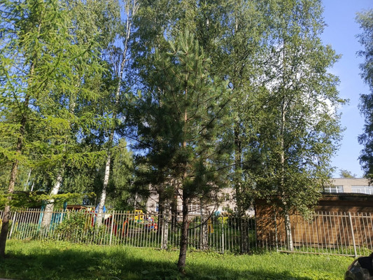 Продам двухкомнатную (2-комн.) квартиру, 42, Новый Свет п