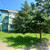Продам трехкомнатную (3-комн.) квартиру, 18, Агрогородок п