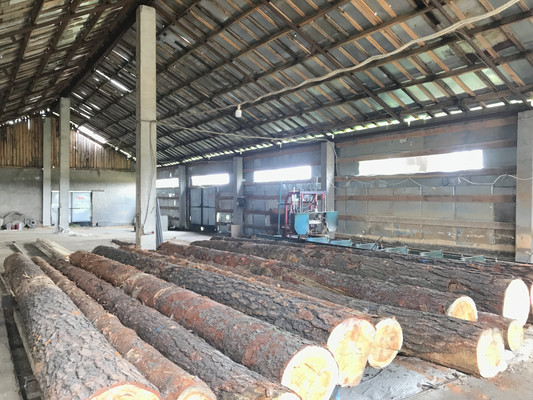 Продам землю для коммерческого использования 120 соток, Хотеичи с