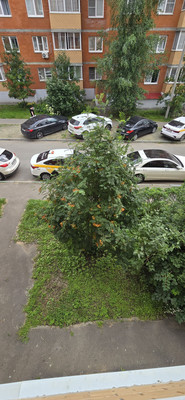 Продам однокомнатную (1-комн.) квартиру, Заречная ул, 33к7, Марусино д