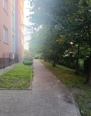 Продам однокомнатную (1-комн.) квартиру, Беговая ул, 1В, Калининград г